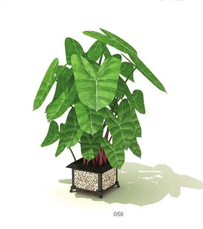 ֲ���ݗ��ȱ���ƌW����