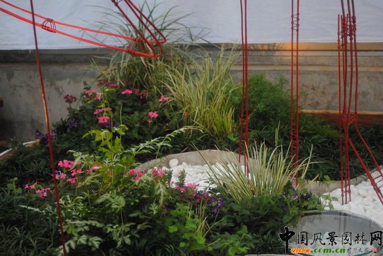 ̶֮�R��������@��С���@�OӋ�c�I�족չ��Ʒ