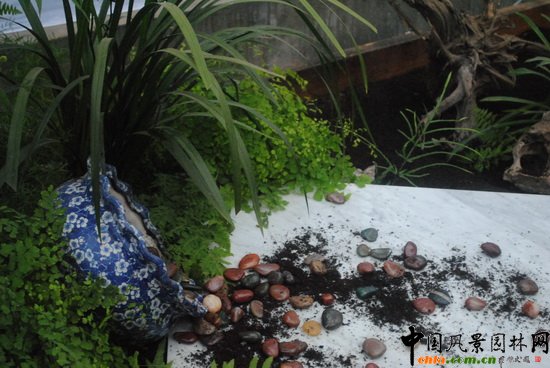 ī֮�ꡪ������@��С���@�OӋ�c�I�족չ��Ʒ