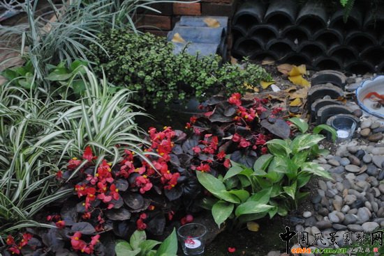 �w�@��ӡ�������@��С���@�OӋ�c�I�족չ��Ʒ