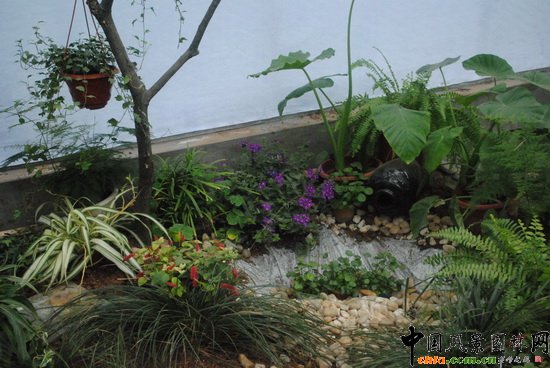 �׈@��������@��С���@�OӋ�c�I�족չ��Ʒ