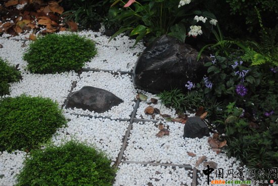 ���N�@��������@��С���@�OӋ�c�I�족չ��Ʒ