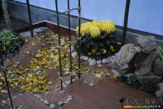 �����˼ҡ�������@��С���@�OӋ�c�I�족չ��Ʒ