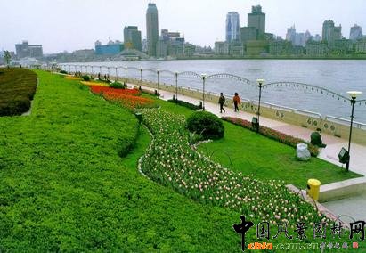 �OӋ�Y����Ȼ