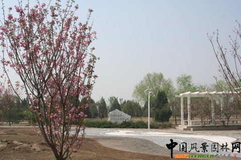 �������S�_�^�G�̽�Ұ���@���O����