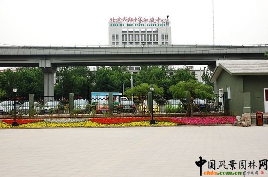 雙秀公園北門(mén)廣場(chǎng)