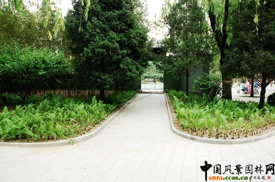 茶舍北側(cè)綠地