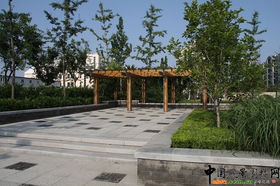 ��Ȼ��(j��ng)��^(q��)ľ�|(zh��)�ȼ܏V��