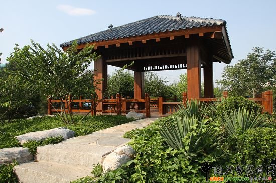 ��Ȼ����^ľ�|���^ͤ����