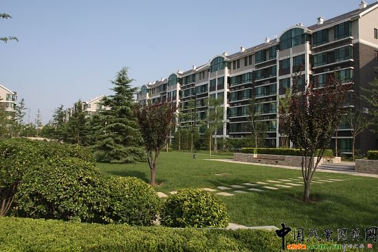 ��Ȼ����^���ƺ