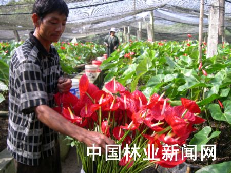 �D�龰���л��r(n��ng)�ڲ��ռt�ơ�