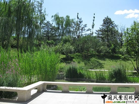 中國工程院南側種植區改造后效果圖