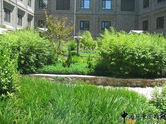 中國工程院屋頂花園景觀改造后效果圖