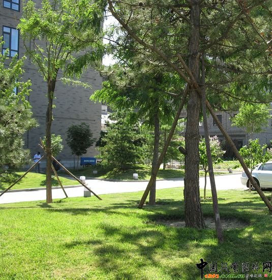 中國工程院停車處景觀效果圖