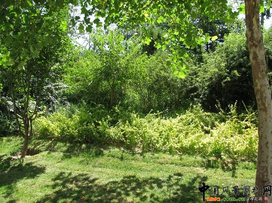 中國工程院室外一角景觀效果圖