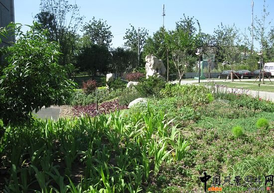 中國工程院中流砥柱花灌種植區