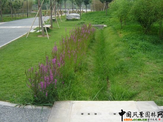 �G����ˮϵ�y