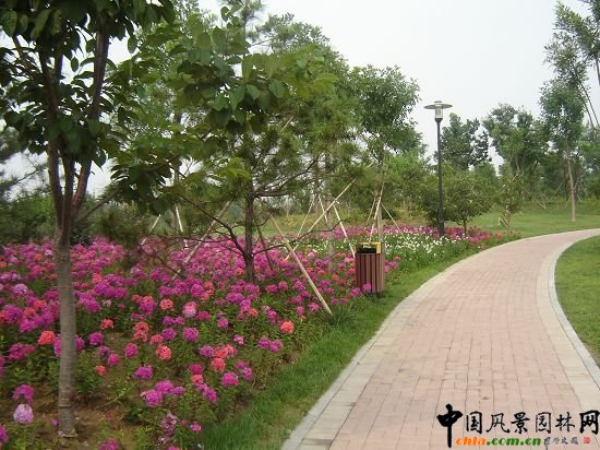 二級(jí)園路綠化