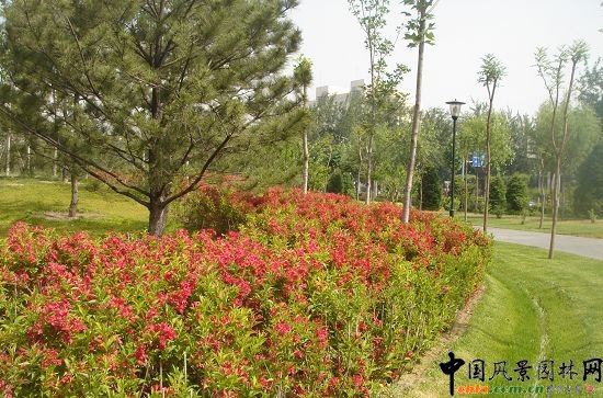 �t�����\����(y��ng)��Ч��