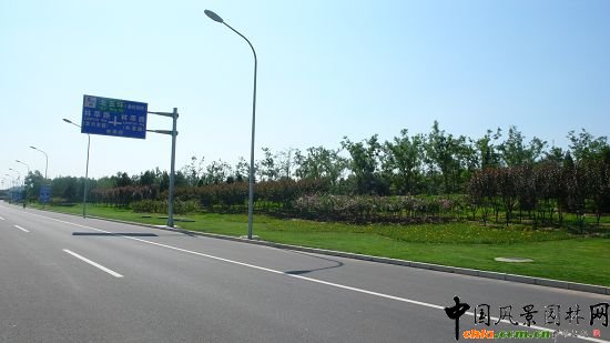 林萃橋西色彩繽紛