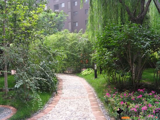 不同高度的植物品種創造的曲徑通幽效果