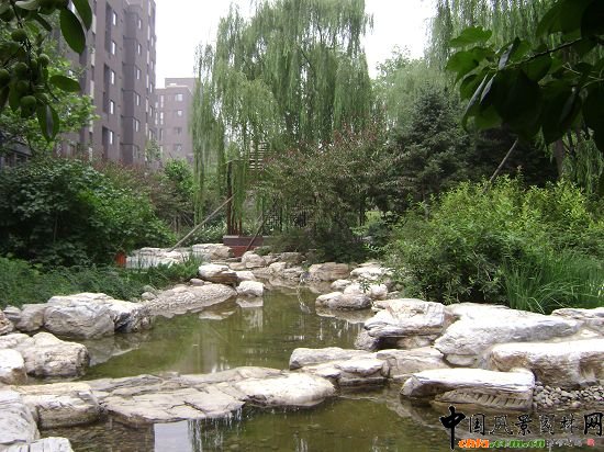 園區中的水系和近水植物配置