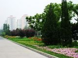 2009年北京市精品園林工程之安立路、北辰西路