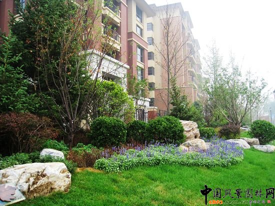 自然式種植群落