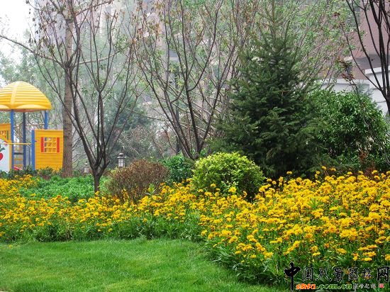 自然式種植群落