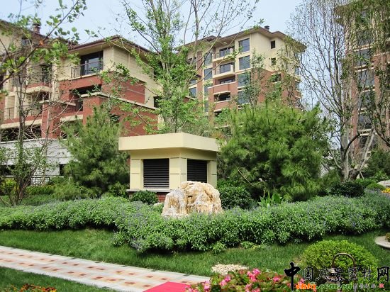   山石植物群落景觀