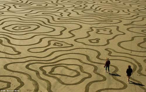 ����ˇ�g���Ժ����鮋�������ٷ���Ʒ(�M�D)