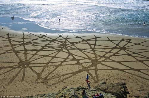 ����ˇ�g���Ժ����鮋�������ٷ���Ʒ(�M�D)