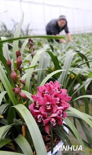 �������ϣ�ץס��(y��u)�ݰl(f��)չ���ܮa(ch��n)�I(y��)��2��(�D)