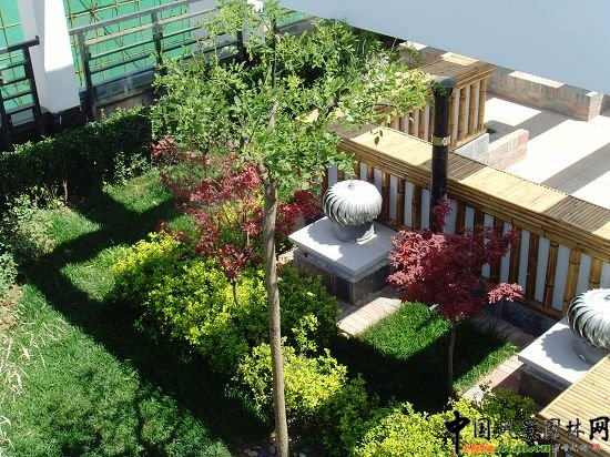 �W�\����픾G��--2009�걱���Ѓ��|����