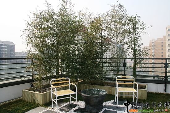 �W�\����픾G��--2009�걱���Ѓ��|����