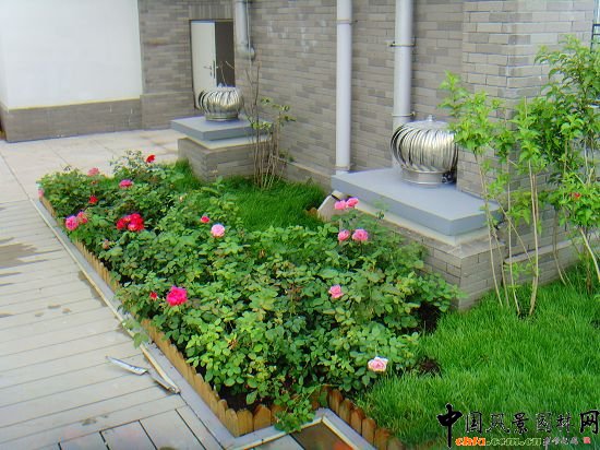 奧運村屋頂綠化--2009年北京市優(yōu)質(zhì)工程