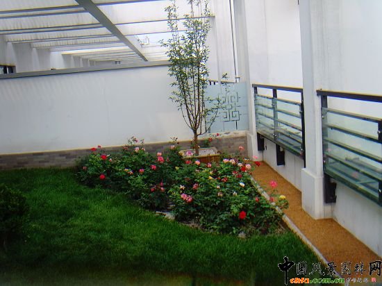 奧運村屋頂綠化--2009年北京市優(yōu)質(zhì)工程