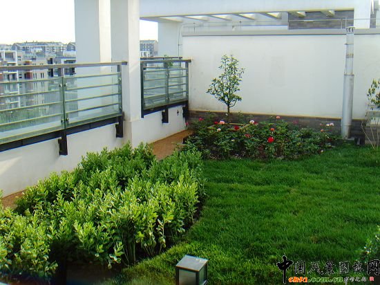 奧運村屋頂綠化--2009年北京市優(yōu)質(zhì)工程