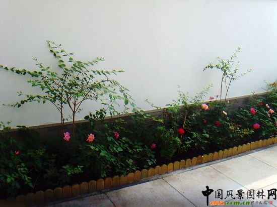 奧運村屋頂綠化--2009年北京市優(yōu)質(zhì)工程