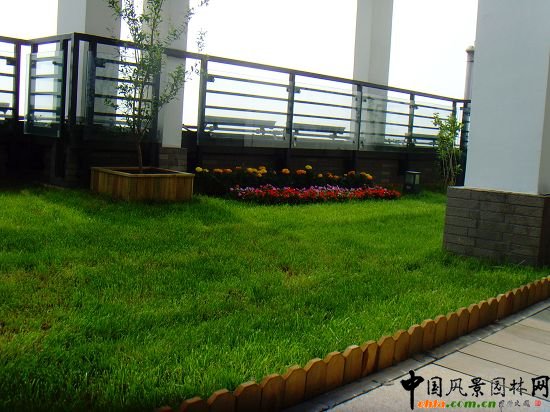 奧運村屋頂綠化--2009年北京市優(yōu)質(zhì)工程