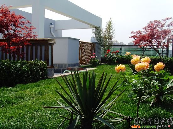 奧運村屋頂綠化--2009年北京市優質工程