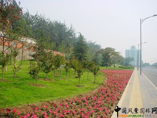 飄帶模紋、宿根花卉、與周邊的喬灌木構成了花壇的豐富層次