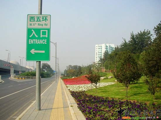 五環(huán)東輔路花卉種植突出山野氣氛