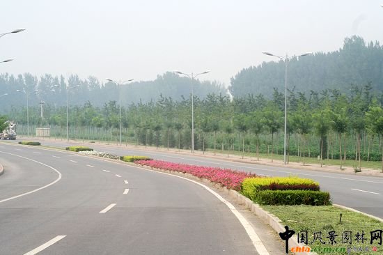 順義賓館周邊綠化