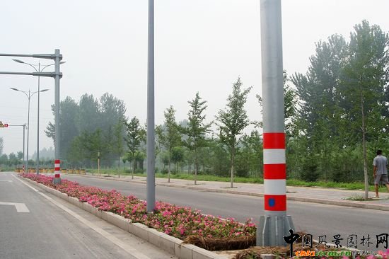 順義賓館周邊綠化