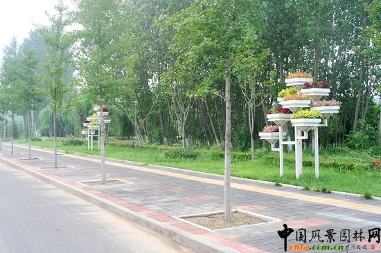 順義賓館周邊綠化