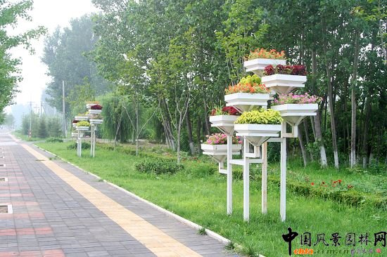 順義賓館周邊綠化