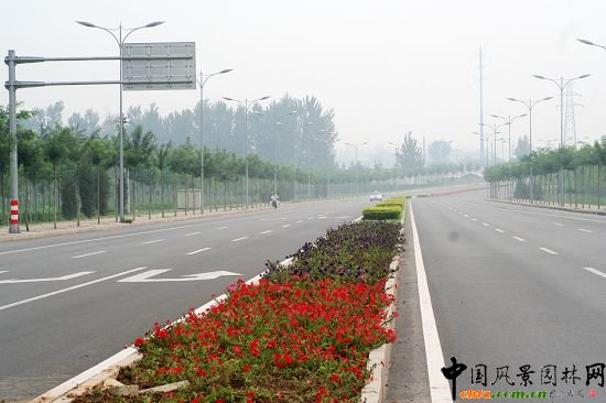 順義賓館周邊綠化