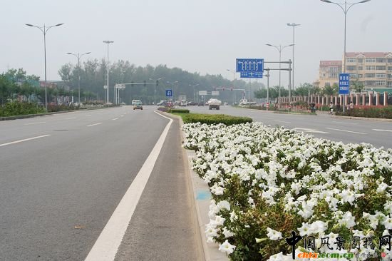 順義賓館周邊綠化