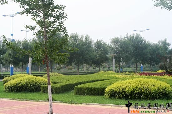 順義賓館周邊綠化